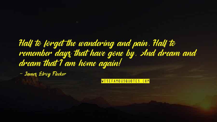 James Elroy Flecker Quotes By James Elroy Flecker: Half to forget the wandering and pain, Half