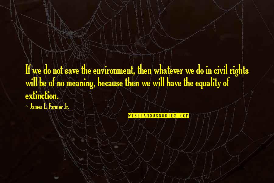 James Farmer Jr Quotes By James L. Farmer Jr.: If we do not save the environment, then