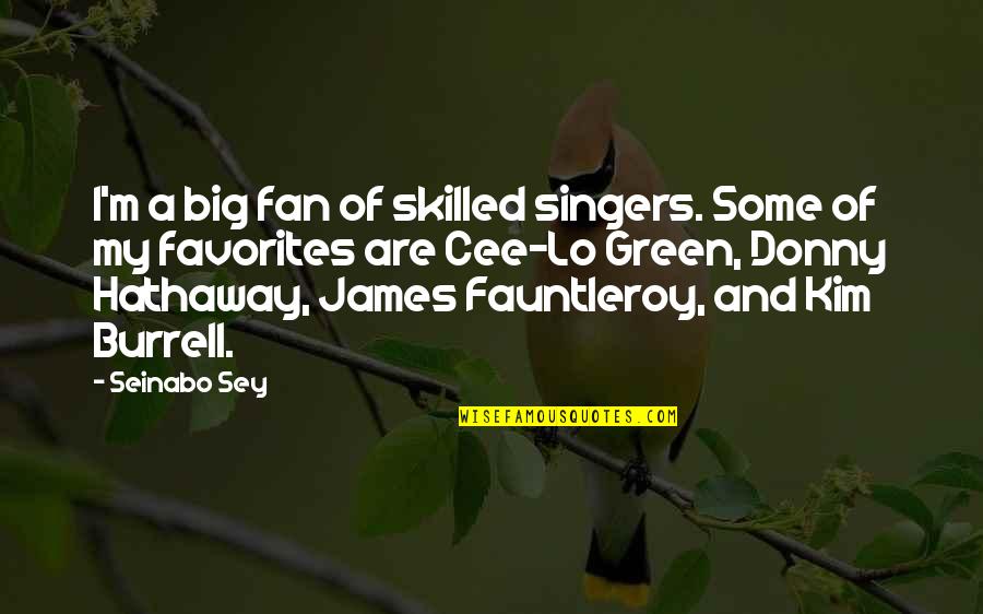James Fauntleroy Quotes By Seinabo Sey: I'm a big fan of skilled singers. Some