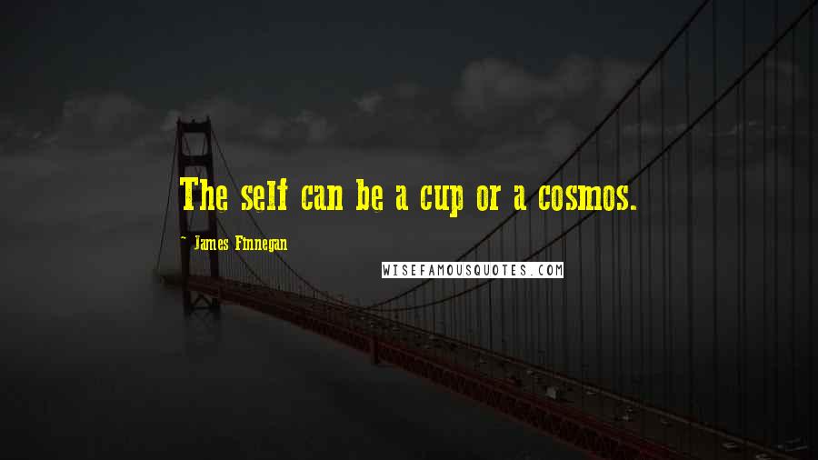 James Finnegan quotes: The self can be a cup or a cosmos.