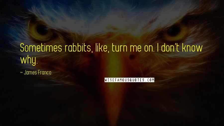 James Franco quotes: Sometimes rabbits, like, turn me on. I don't know why.
