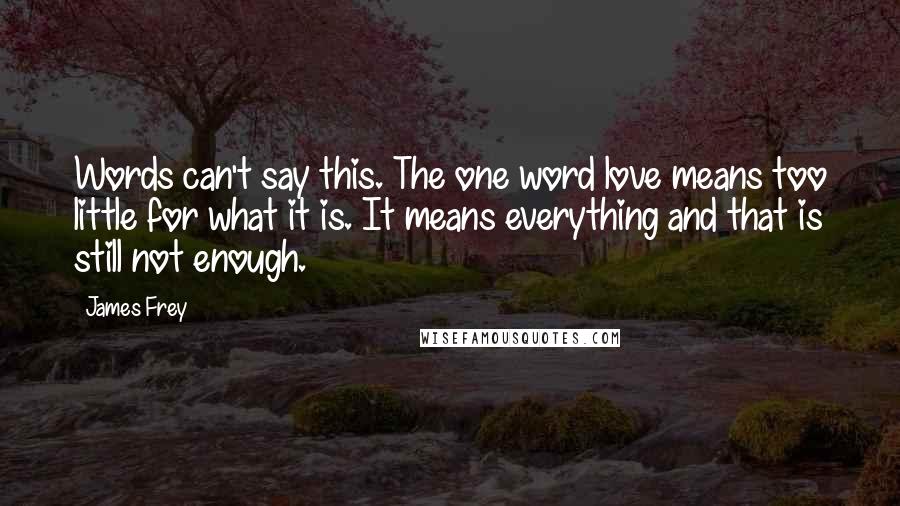 James Frey quotes: Words can't say this. The one word love means too little for what it is. It means everything and that is still not enough.