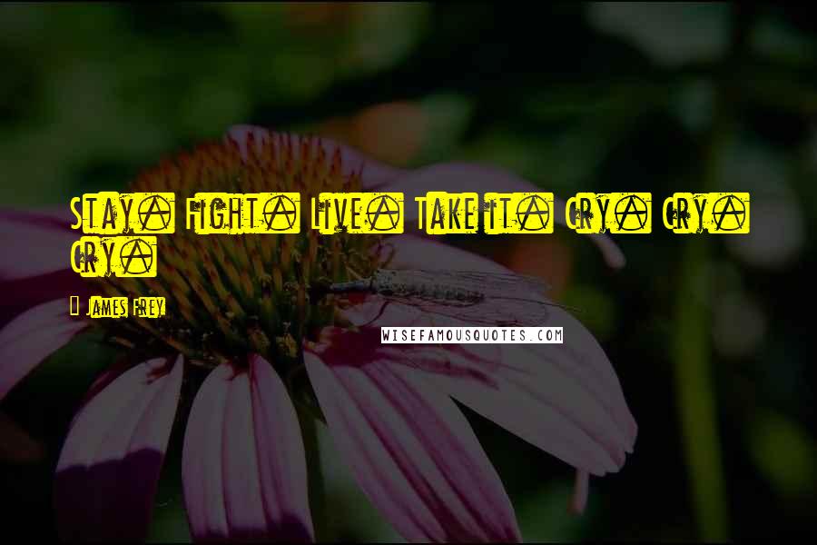 James Frey quotes: Stay. Fight. Live. Take it. Cry. Cry. Cry.
