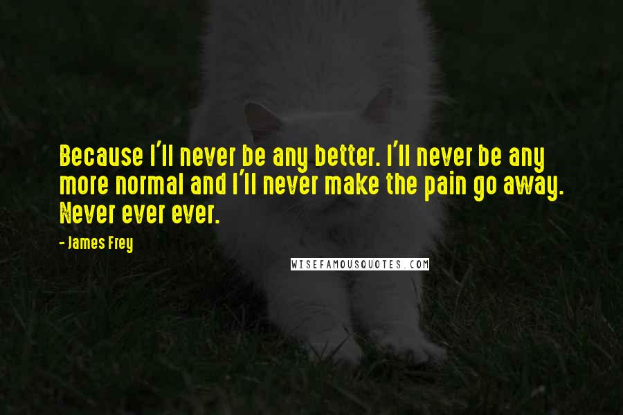 James Frey quotes: Because I'll never be any better. I'll never be any more normal and I'll never make the pain go away. Never ever ever.