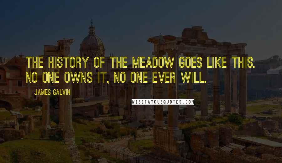 James Galvin quotes: The history of the meadow goes like this. No one owns it, no one ever will.