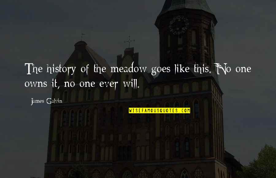 James Galvin Quotes By James Galvin: The history of the meadow goes like this.