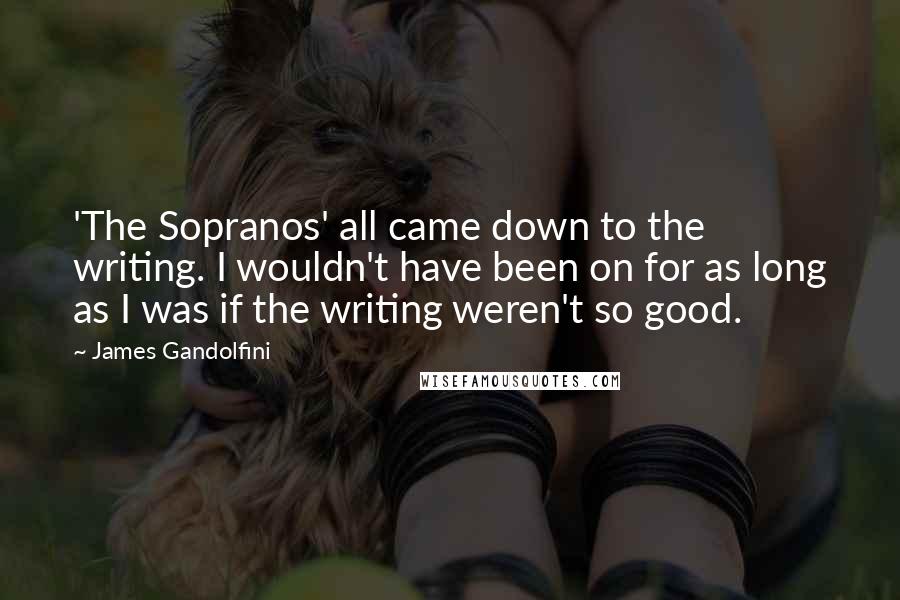 James Gandolfini quotes: 'The Sopranos' all came down to the writing. I wouldn't have been on for as long as I was if the writing weren't so good.