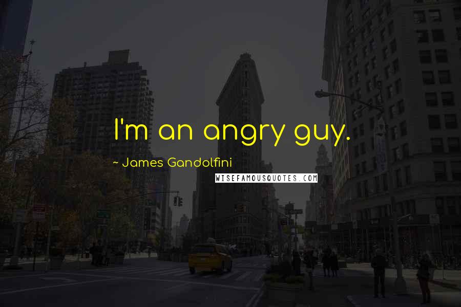 James Gandolfini quotes: I'm an angry guy.