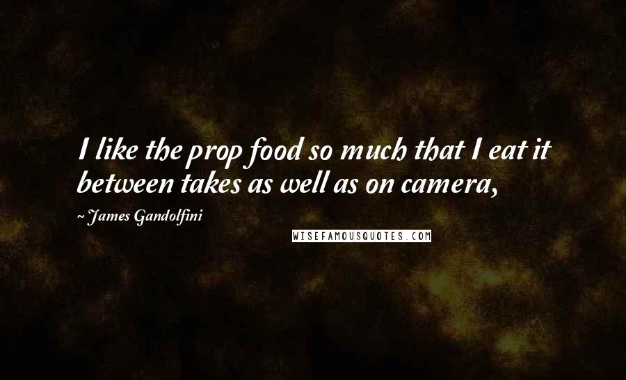 James Gandolfini quotes: I like the prop food so much that I eat it between takes as well as on camera,