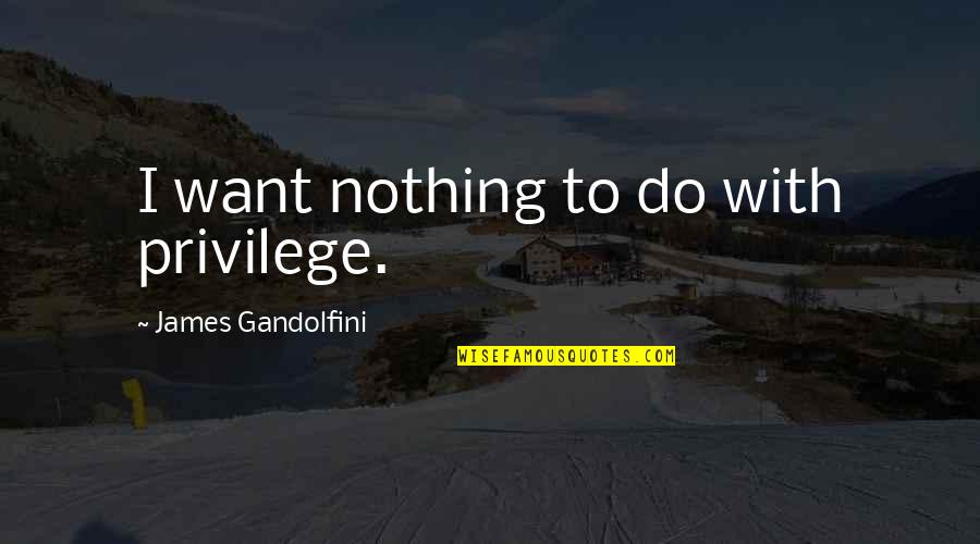 James Gandolfini Quotes By James Gandolfini: I want nothing to do with privilege.