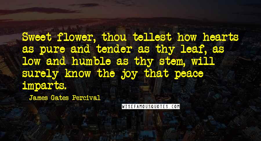 James Gates Percival quotes: Sweet flower, thou tellest how hearts as pure and tender as thy leaf, as low and humble as thy stem, will surely know the joy that peace imparts. James Gates Percival quotes: Sweet flower, thou tellest how hearts as pure and tender as thy leaf, as low and humble as thy stem, will surely know the joy that peace imparts.