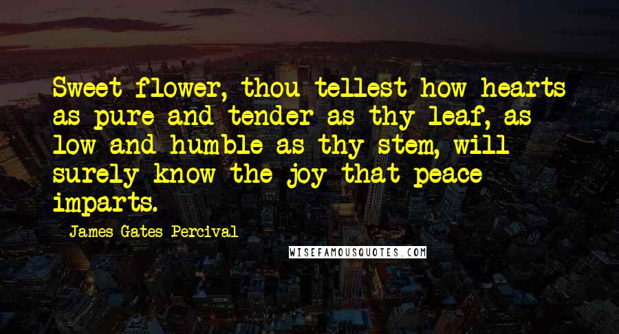 James Gates Percival quotes: Sweet flower, thou tellest how hearts as pure and tender as thy leaf, as low and humble as thy stem, will surely know the joy that peace imparts.