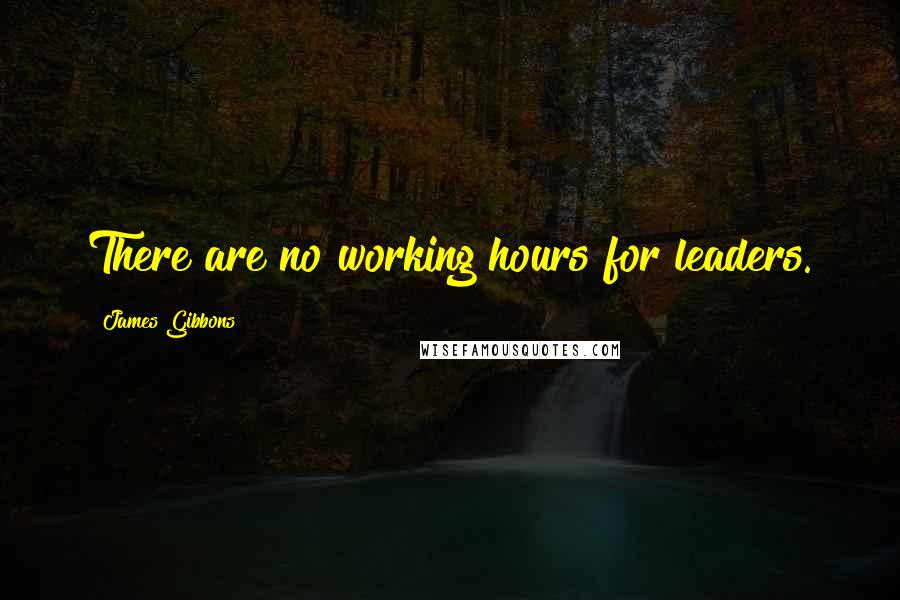 James Gibbons quotes: There are no working hours for leaders.