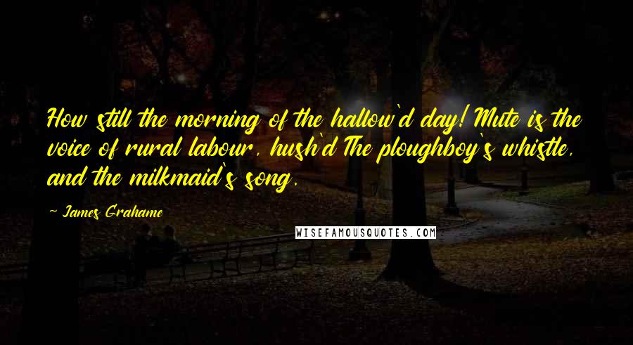 James Grahame quotes: How still the morning of the hallow'd day! Mute is the voice of rural labour, hush'd The ploughboy's whistle, and the milkmaid's song.