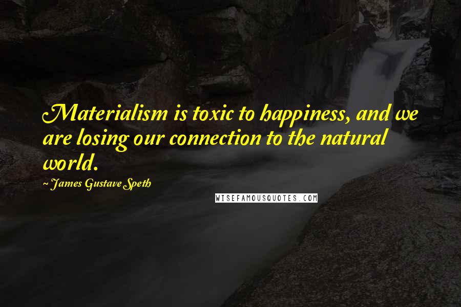 James Gustave Speth quotes: Materialism is toxic to happiness, and we are losing our connection to the natural world.