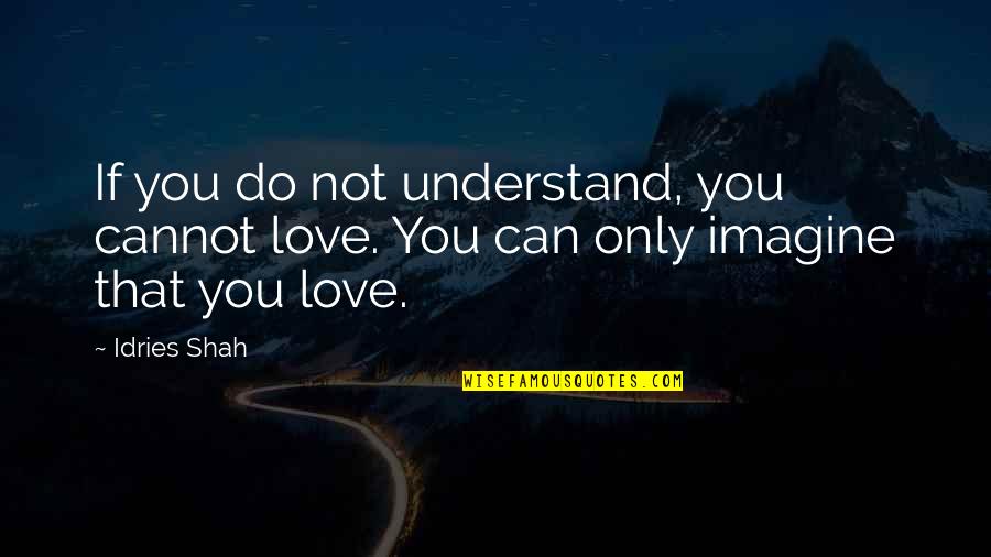 James H Aughey Quotes By Idries Shah: If you do not understand, you cannot love.