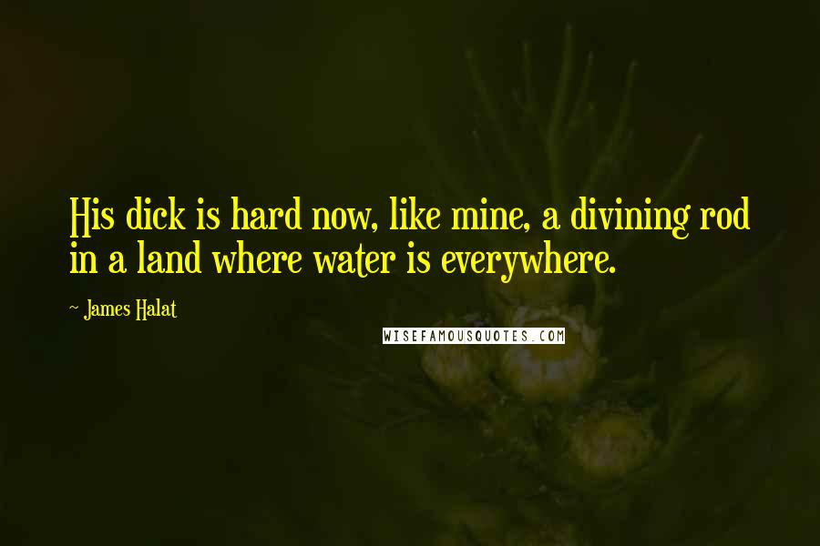 James Halat quotes: His dick is hard now, like mine, a divining rod in a land where water is everywhere.