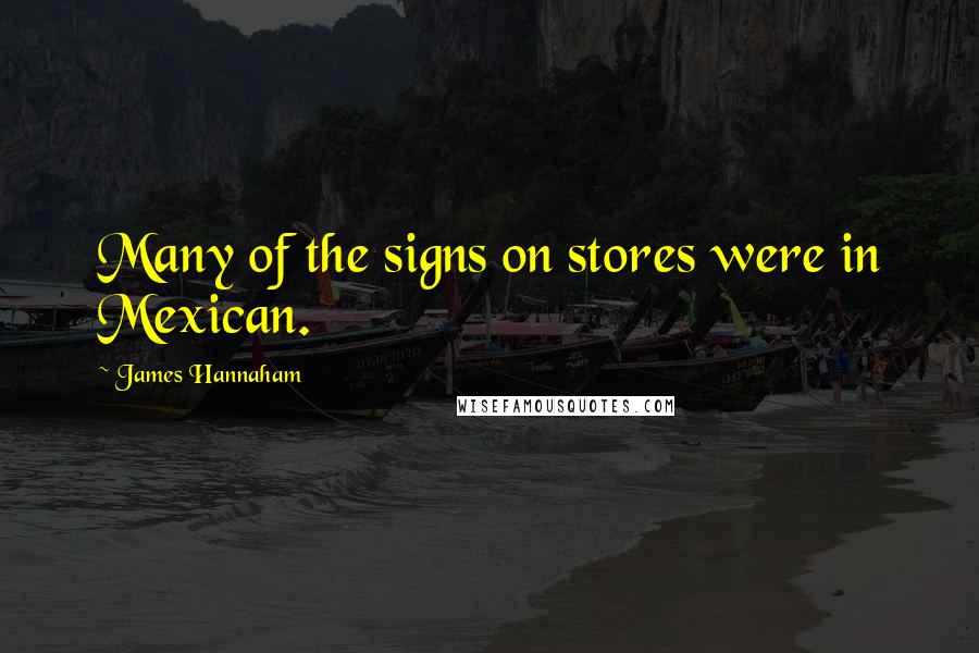 James Hannaham quotes: Many of the signs on stores were in Mexican.