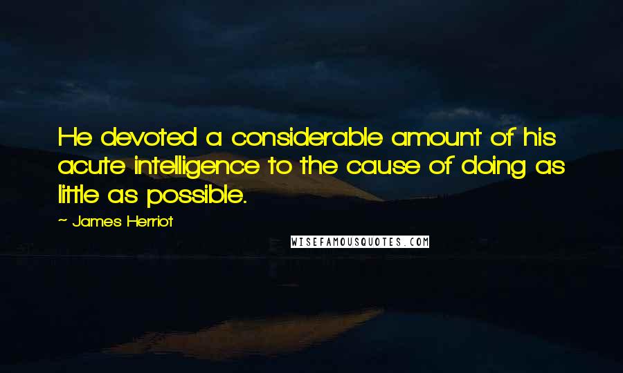 James Herriot quotes: He devoted a considerable amount of his acute intelligence to the cause of doing as little as possible.