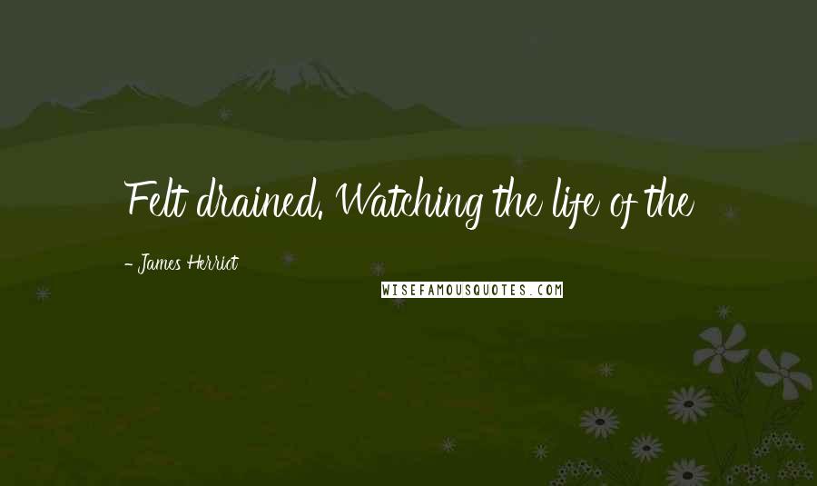 James Herriot quotes: Felt drained. Watching the life of the