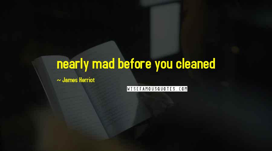 James Herriot quotes: nearly mad before you cleaned
