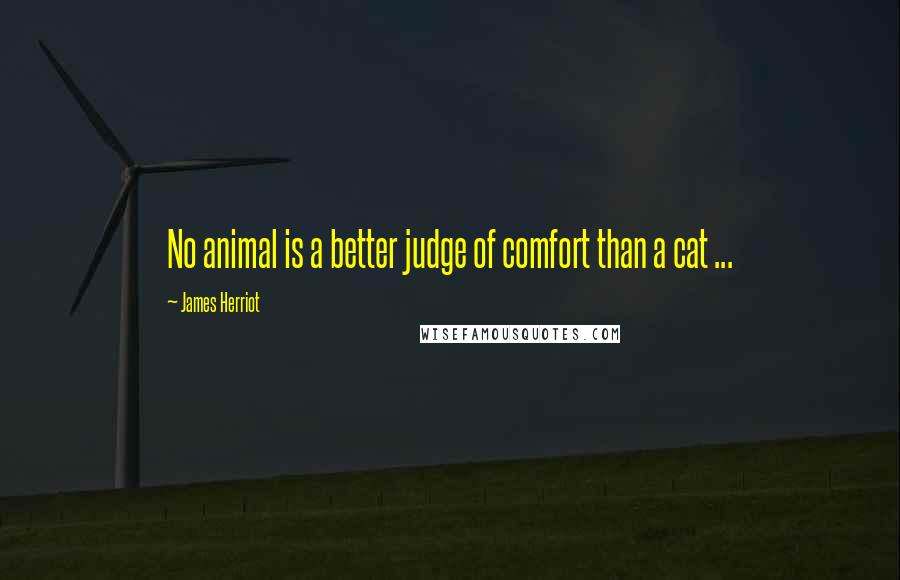 James Herriot quotes: No animal is a better judge of comfort than a cat ...