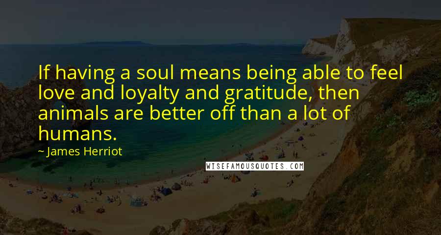 James Herriot quotes: If having a soul means being able to feel love and loyalty and gratitude, then animals are better off than a lot of humans.