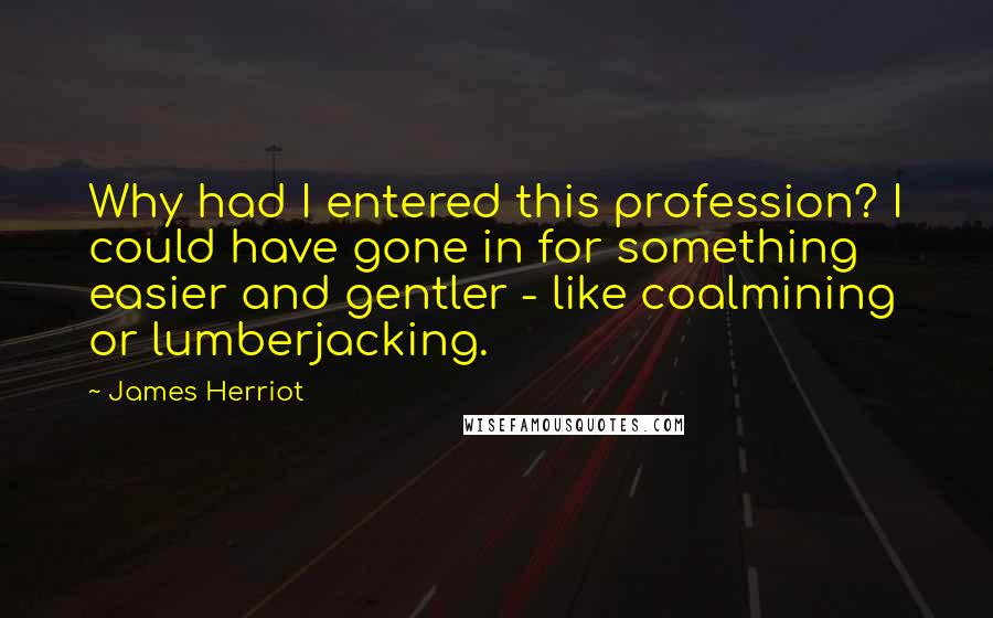 James Herriot quotes: Why had I entered this profession? I could have gone in for something easier and gentler - like coalmining or lumberjacking.