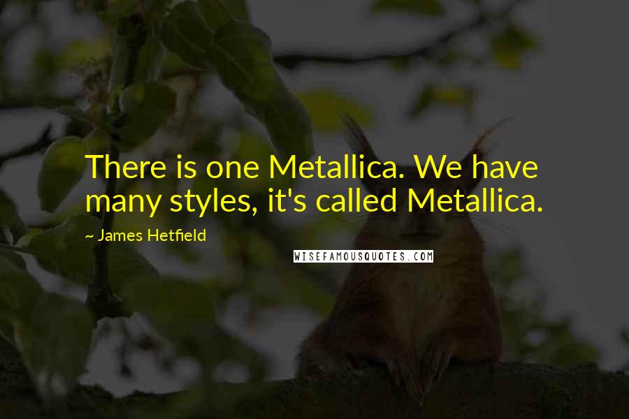 James Hetfield quotes: There is one Metallica. We have many styles, it's called Metallica.
