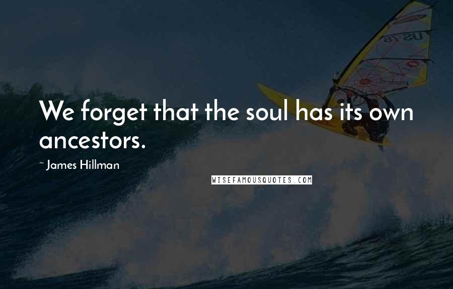 James Hillman quotes: We forget that the soul has its own ancestors.