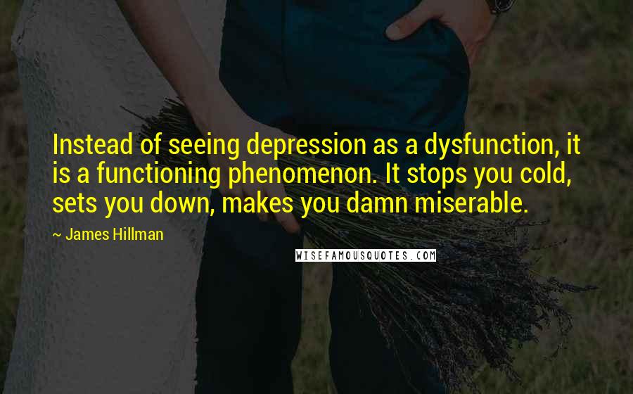 James Hillman quotes: Instead of seeing depression as a dysfunction, it is a functioning phenomenon. It stops you cold, sets you down, makes you damn miserable.