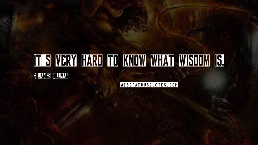 James Hillman quotes: It's very hard to know what wisdom is.