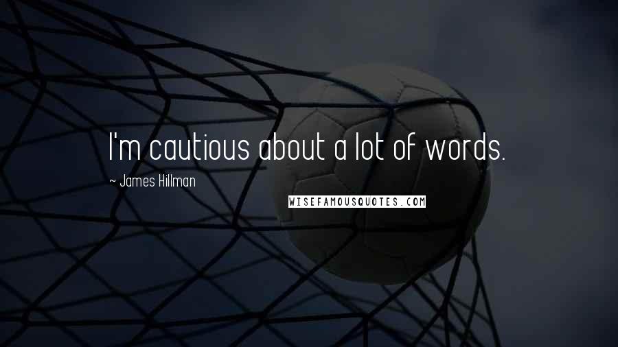 James Hillman quotes: I'm cautious about a lot of words.