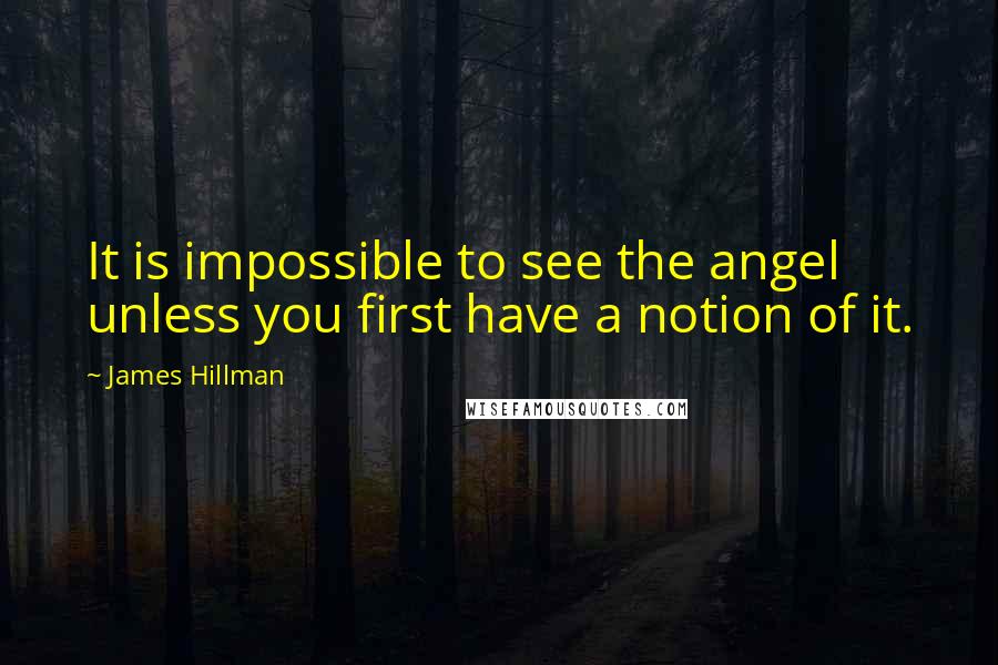James Hillman quotes: It is impossible to see the angel unless you first have a notion of it.