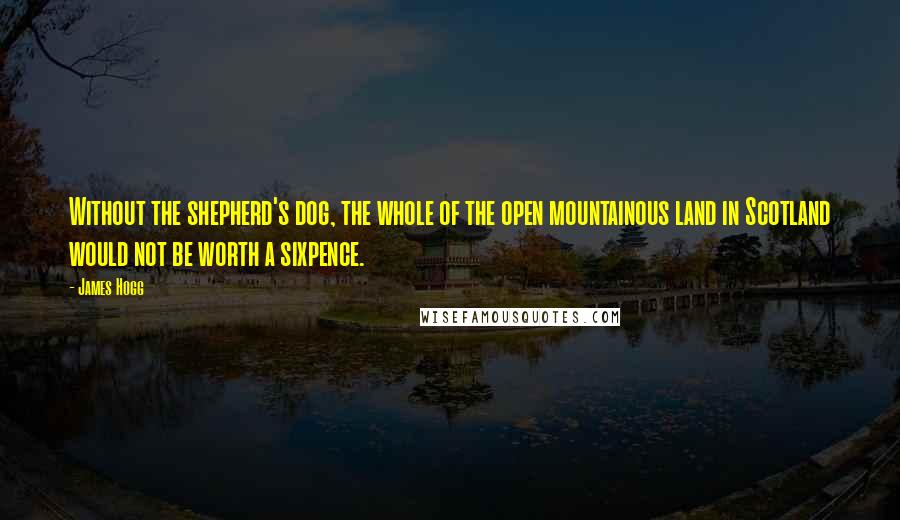 James Hogg quotes: Without the shepherd's dog, the whole of the open mountainous land in Scotland would not be worth a sixpence. James Hogg quotes: Without the shepherd's dog, the whole of the open mountainous land in Scotland would not be worth a sixpence.