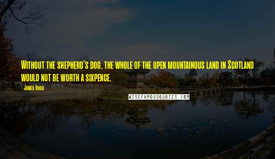 James Hogg quotes: Without the shepherd's dog, the whole of the open mountainous land in Scotland would not be worth a sixpence.