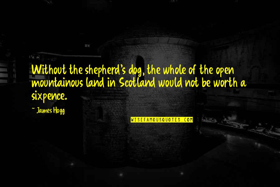 James Hogg Quotes By James Hogg: Without the shepherd's dog, the whole of the