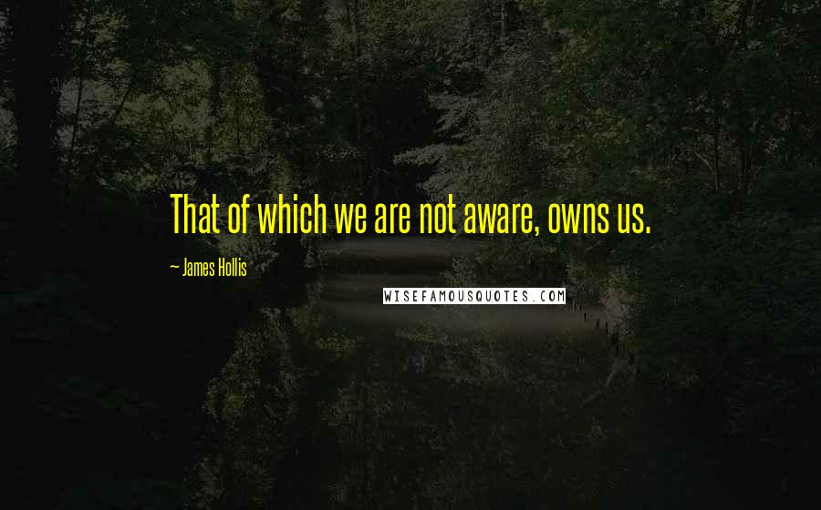 James Hollis quotes: That of which we are not aware, owns us.