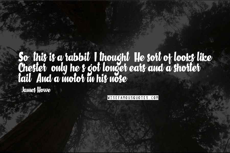 James Howe quotes: So, this is a rabbit, I thought. He sort of looks like Chester, only he's got longer ears and a shorter tail. And a motor in his nose.