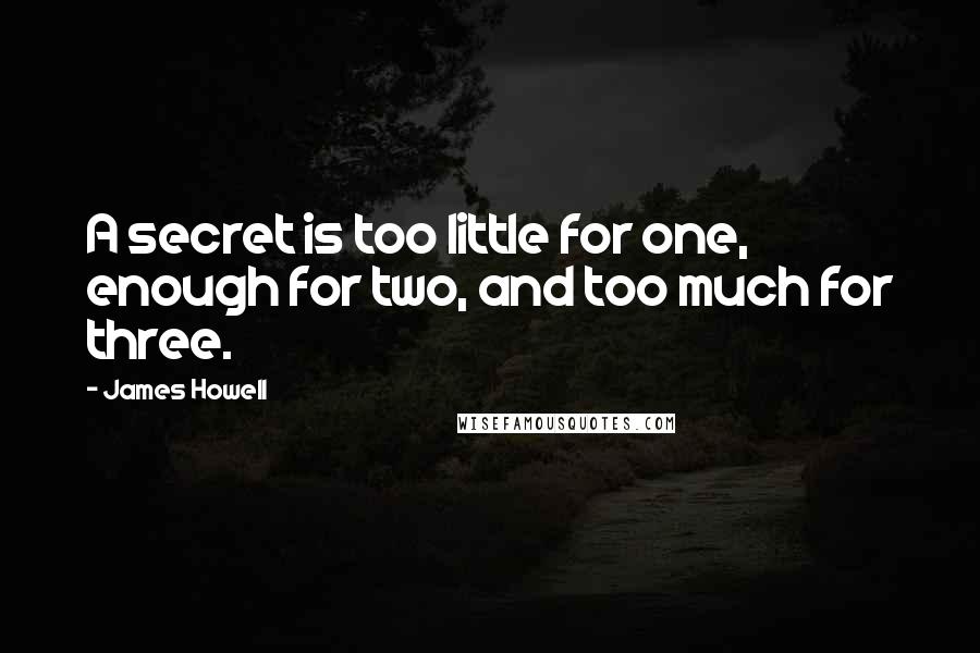 James Howell quotes: A secret is too little for one, enough for two, and too much for three.