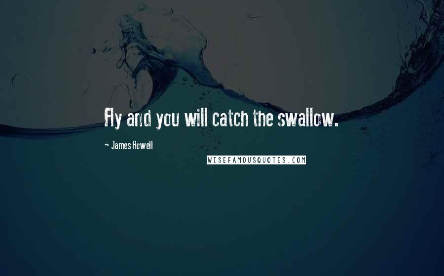 James Howell quotes: Fly and you will catch the swallow.