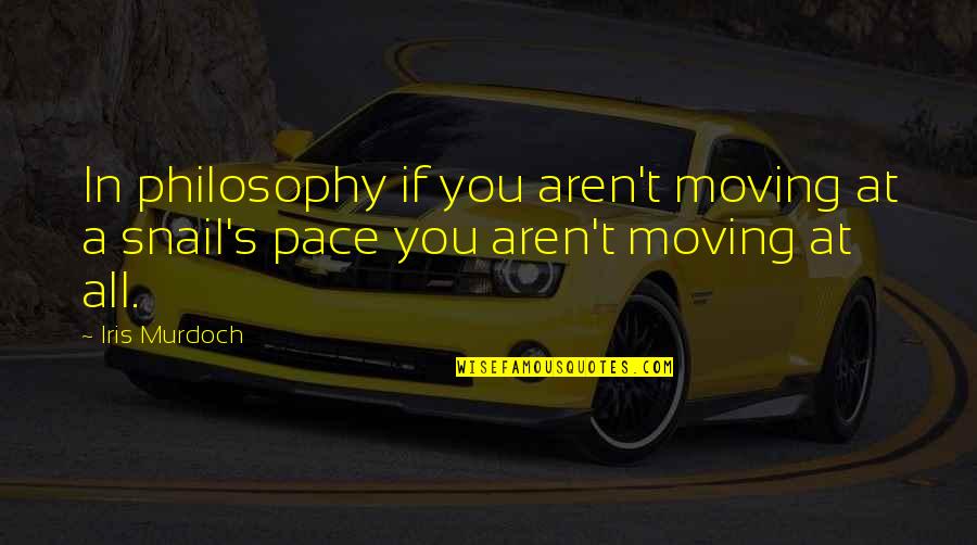James J Corbett Quotes By Iris Murdoch: In philosophy if you aren't moving at a