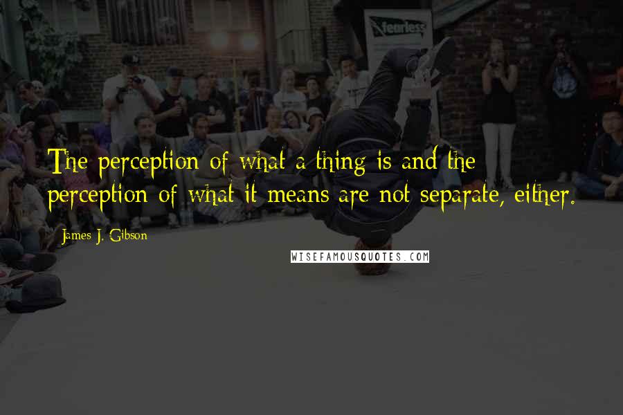 James J. Gibson quotes: The perception of what a thing is and the perception of what it means are not separate, either.