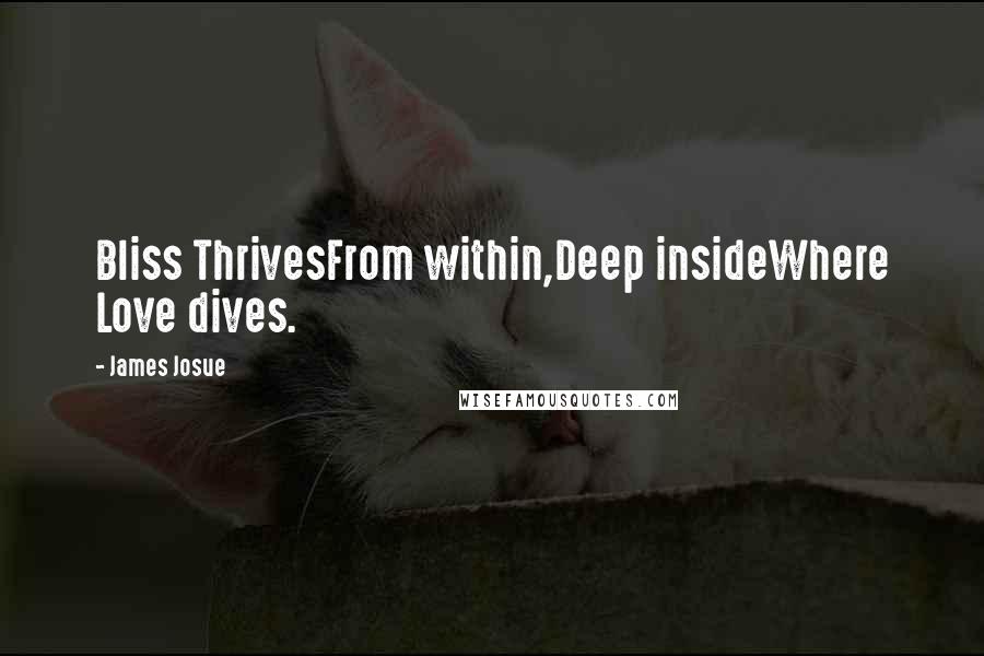 James Josue quotes: Bliss ThrivesFrom within,Deep insideWhere Love dives.