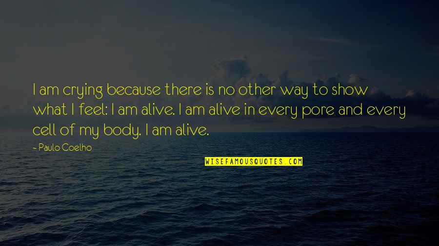 James Joyce Life Quotes By Paulo Coelho: I am crying because there is no other