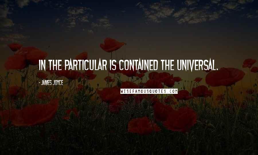 James Joyce quotes: In the particular is contained the universal.