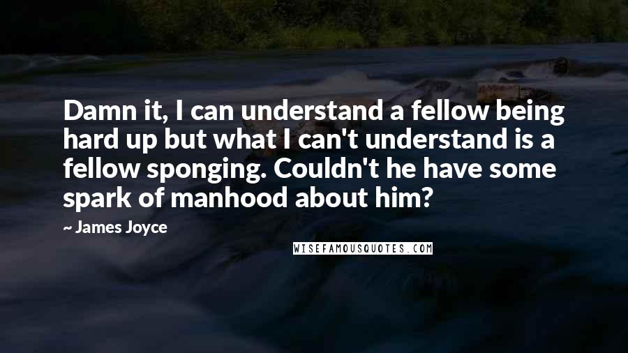 James Joyce quotes: Damn it, I can understand a fellow being hard up but what I can't understand is a fellow sponging. Couldn't he have some spark of manhood about him? James Joyce quotes: Damn it, I can understand a fellow being hard up but what I can't understand is a fellow sponging. Couldn't he have some spark of manhood about him?