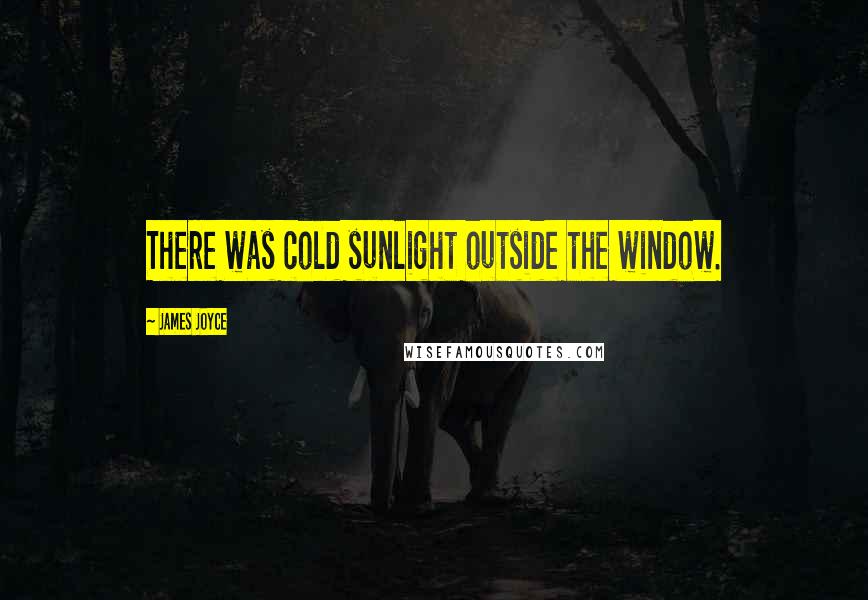 James Joyce quotes: There was cold sunlight outside the window.