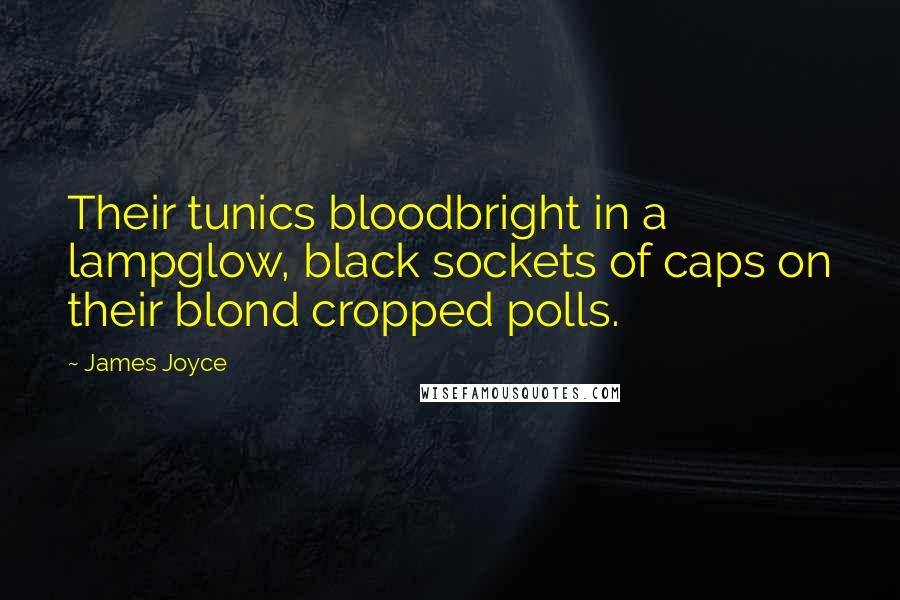 James Joyce quotes: Their tunics bloodbright in a lampglow, black sockets of caps on their blond cropped polls.