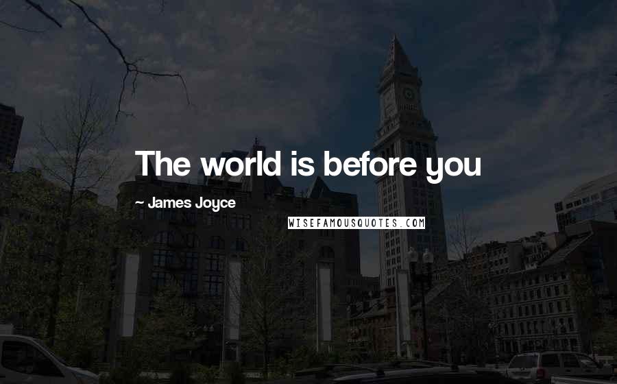 James Joyce quotes: The world is before you